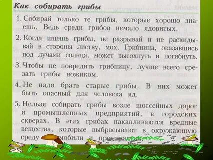 Грибы презентация 3 класс окружающий мир плешаков