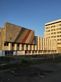 Ирз ринкос