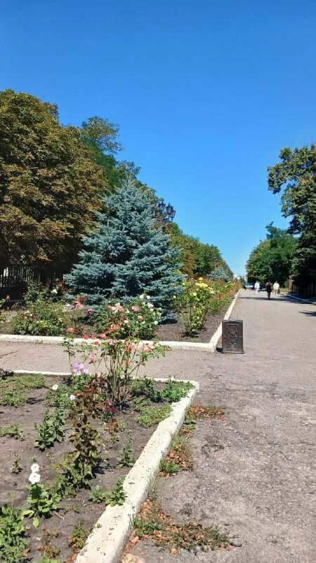 Новодонецкое украина. Новодонецкое добропольский район донецкая обл. Легендарненский элеватор. Новодонецкое. Поселок новодонецкое донецкая область.