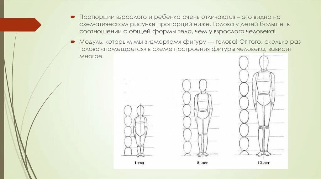 У взрослого человека голова занимает. Пропорции тела ребенка 7 лет. Пропорции тела ребенка 5 лет. Пропорции тела для рисования. Пропорции взрослого человека и ребенка.