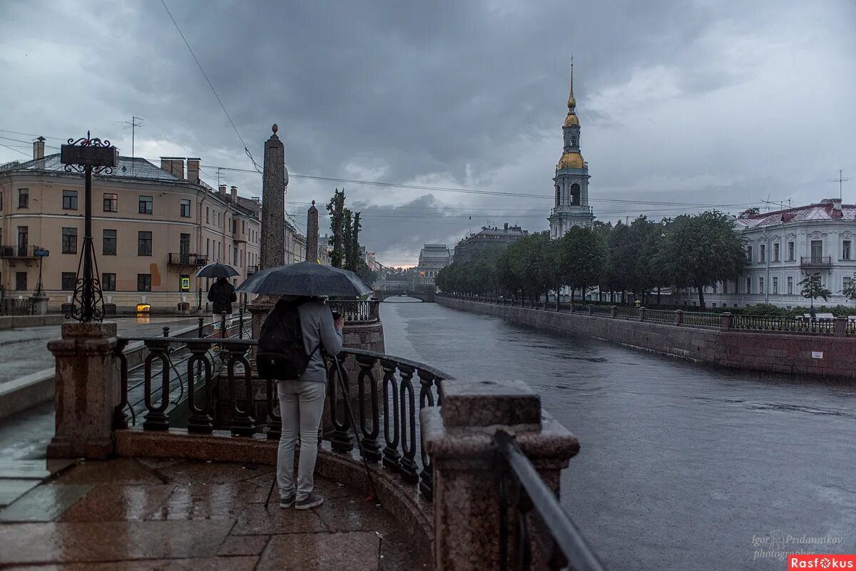 Непарадный Петербург. Петербург пасмурно. Проспекты Питера пасмурно. Санкт петербург пасмурно