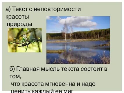 Основная мысль текста в лесу