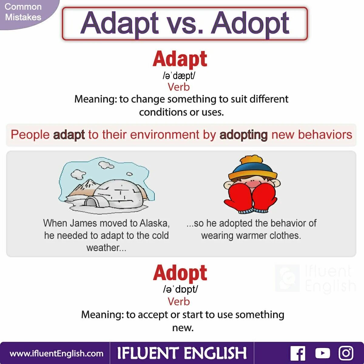 Which is adopted in