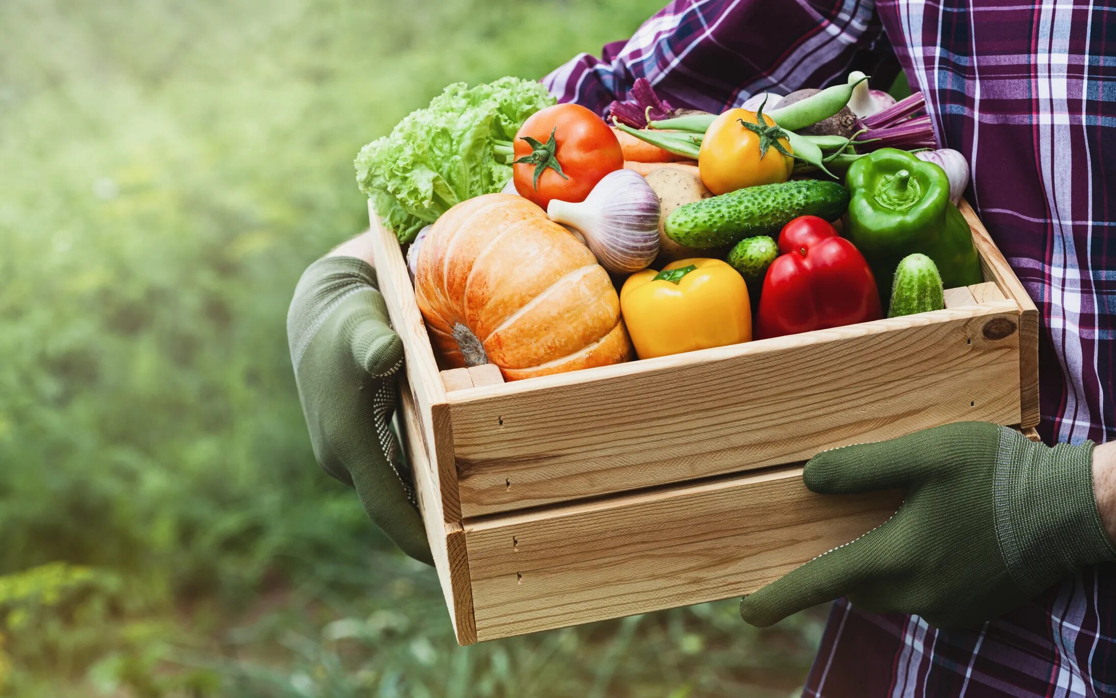 Farmer vegetables