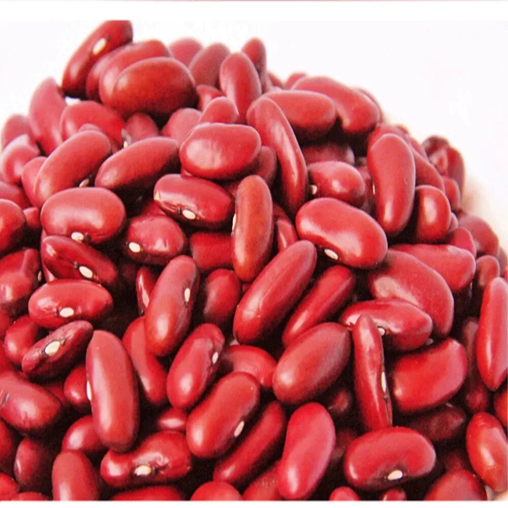 фасоль кидни красная. фасоль ривьера белая 750г. белый фасоль торус 800гр. фасоль пинто пестрая. семена фасоль обыкновенная кидни.