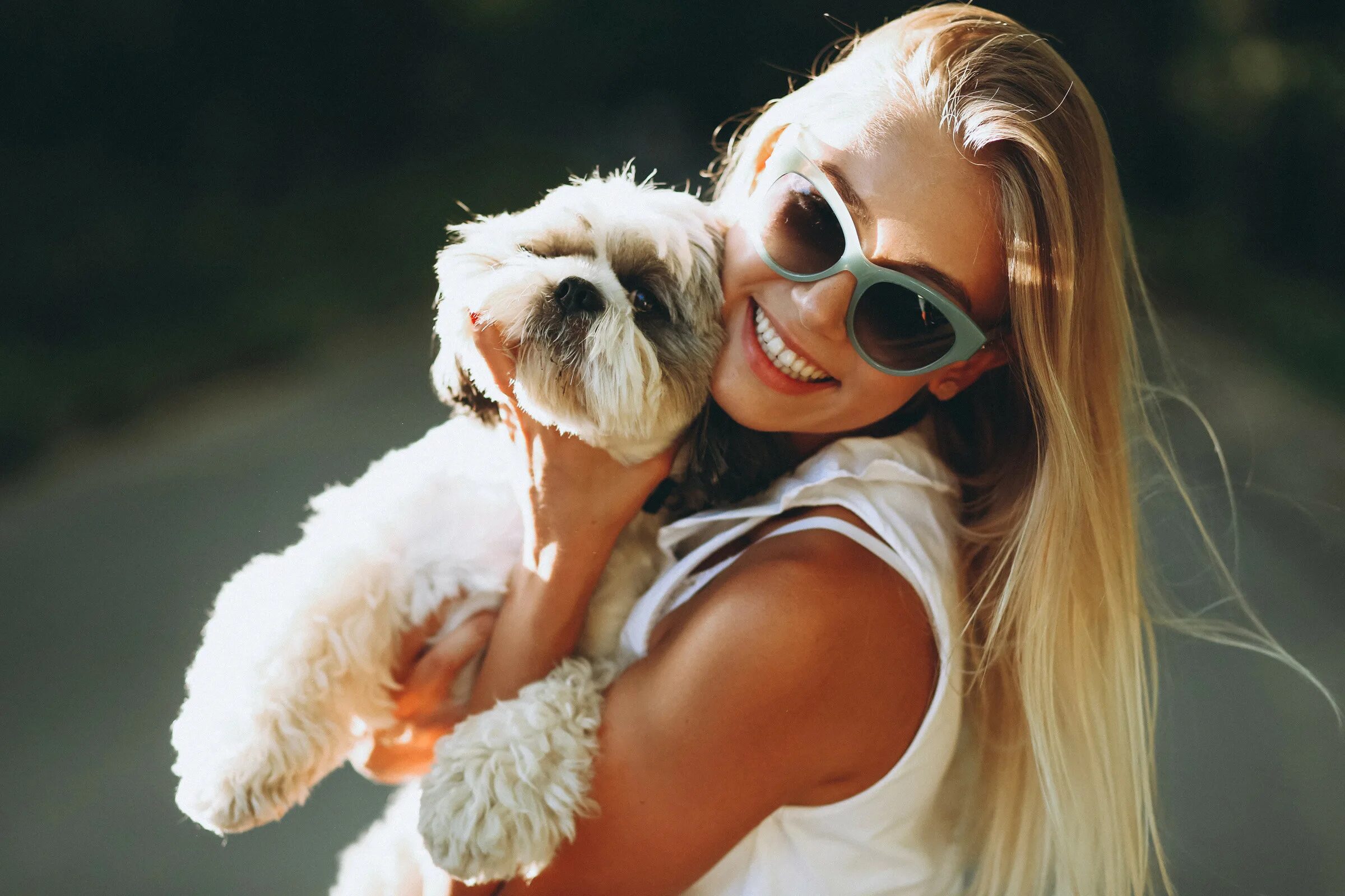 Pin on Pets