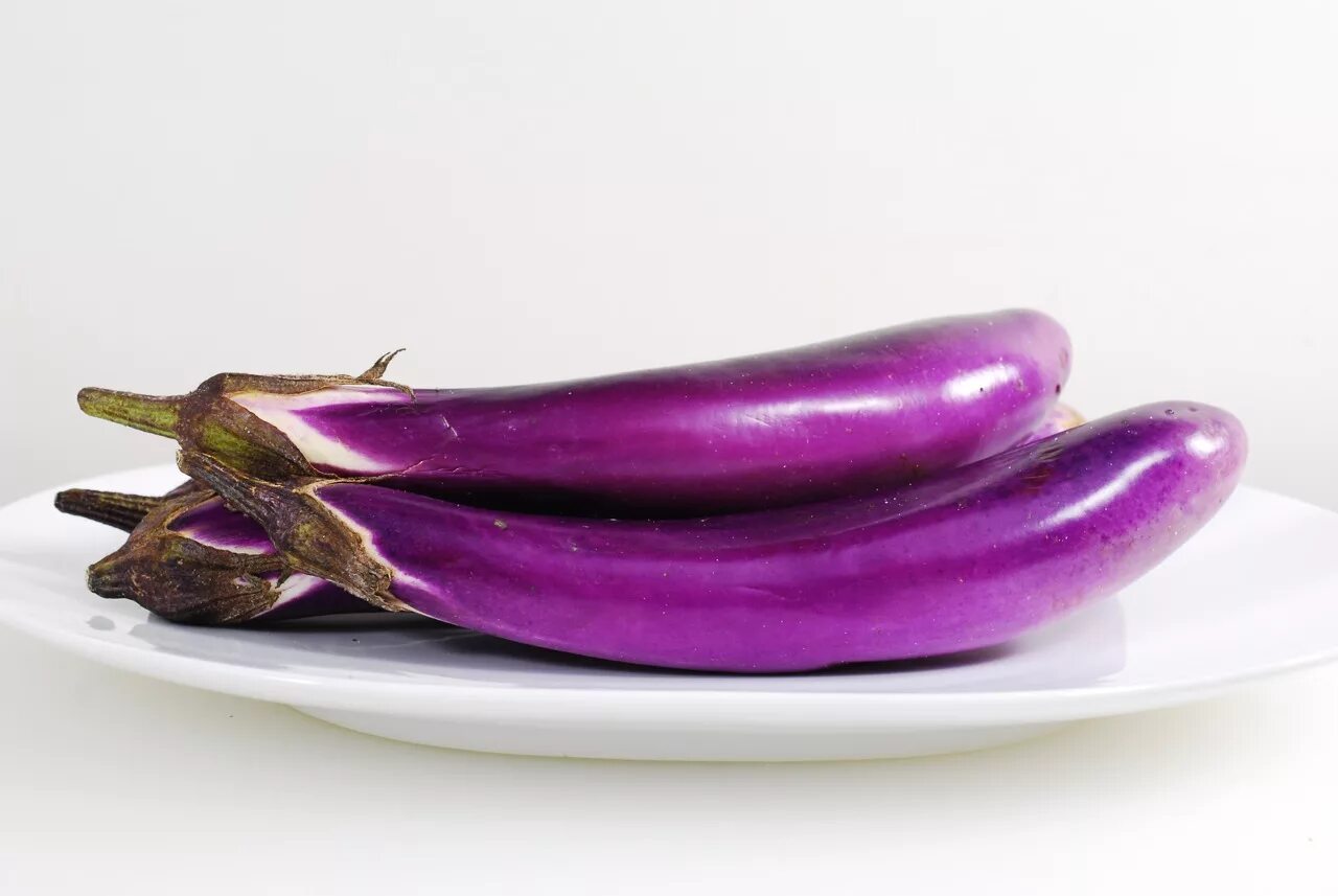 Энза заден семена баклажан для теплицы. Баклажан пасленовые. Баклажан карликовый ранний 921. Баклажаны hd. Конкурент баклажана.