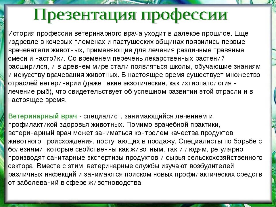 История ветеринара. Доклад о профессии ветеринар 6 класс. Рассказ о профессии 2 класс окружающий мир ветеринар. Профессия ветеринар сочинение. Рассказ о профессии ветеринара для детей 2 класс.