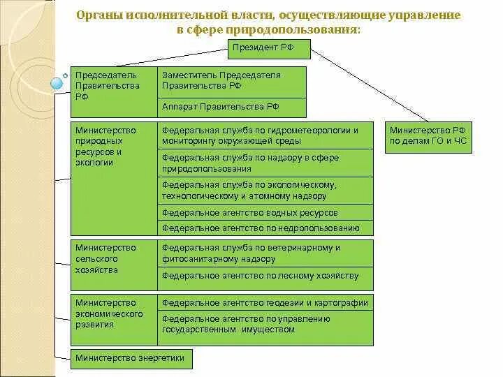 Органы исполнительной власти осуществляющие управление. Система органов государственного экологического управления схема. функции органов экологического управления. структура органов управления в сфере природопользования. органы исполнительной власти в экологической сфере.