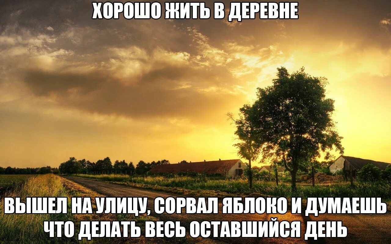 Лето в деревне высказывания