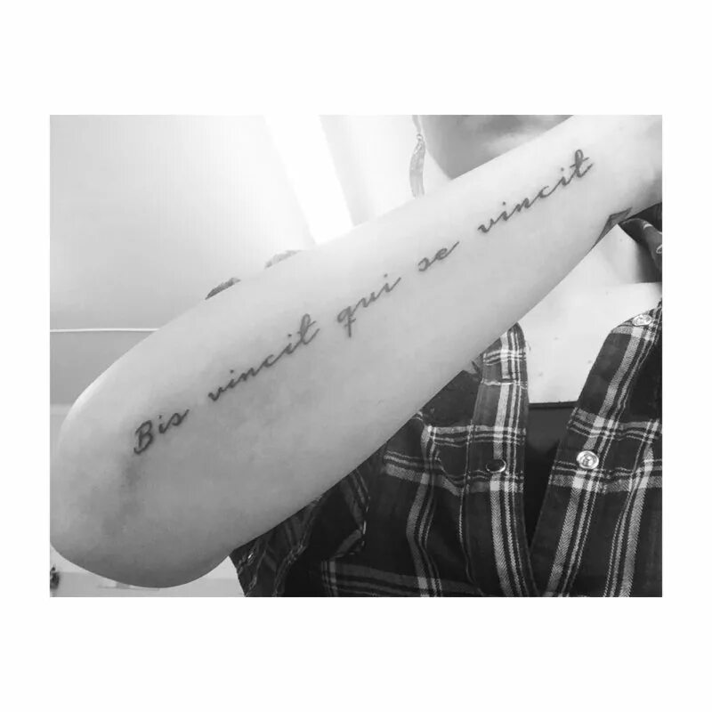 Vincit qui se vincit тату эскиз. Vincit qui. Vincit qui se vincit тату эскиз. Vincit qui. Vincit qui se vincit эскиз.