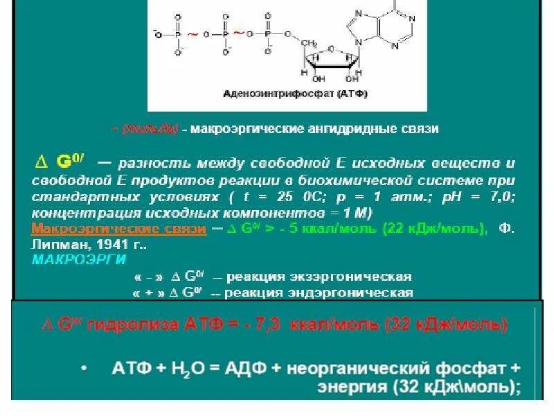 Молекула атф макроэргические связи. Ангидридная связь в АТФ. Макроэргическая ангидридная связь. Фосфоангидридные связи. Ангидридное основание что это.