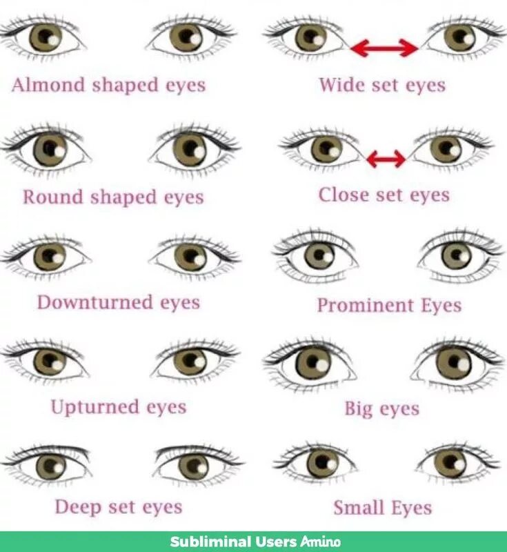 Form eyes. Типы глаз. Формы глаз. Форма глаз и название. Разные типы разреза глаз.