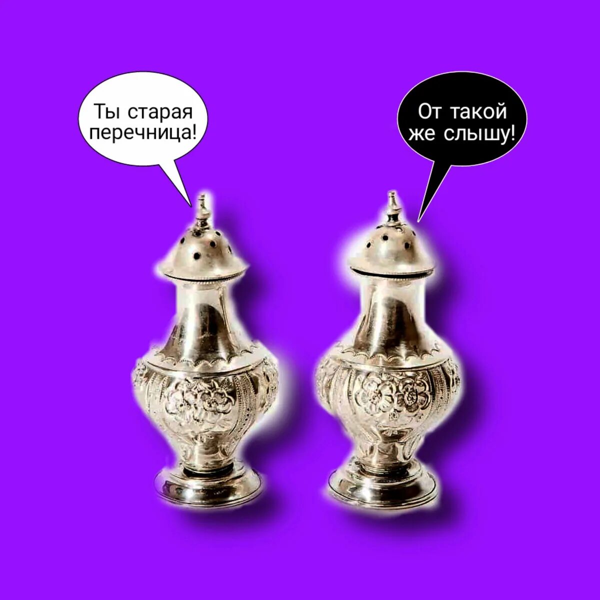 Старая перечница. Старая перечница женщина. старая перечница прикол. как устроена перечница.