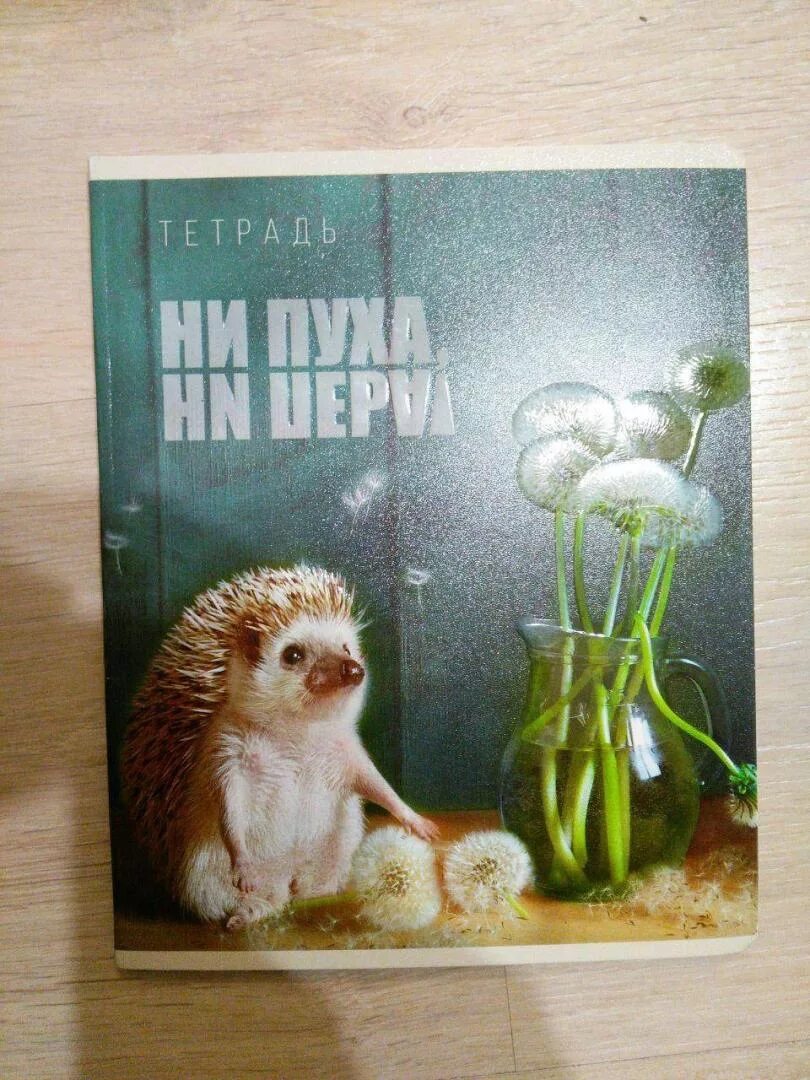 Предметные тетради с ежиками. Тетради с обложкой тайная жизнь ежей. Тетради жизнь ежей. Предметные тетради тайная жизнь ежей. Тетради тайная жизнь ежей.