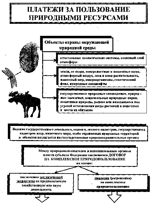 Плата за пользование природными ресурсами это. Платежи за пользование природными ресурсами. виды пользования животным миром. платежи за право пользования природными ресурсами это. налоги за пользование природными ресурсами.