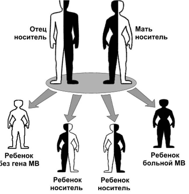 У матери не являющейся носителем гена. Тип наследования муковисцидоза. Муковисцидоз Тип наследования заболевания. Схема наследования муковисцидоза. Муковисцидоз схема наследования.