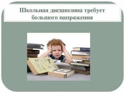 Проект дисциплины в школе