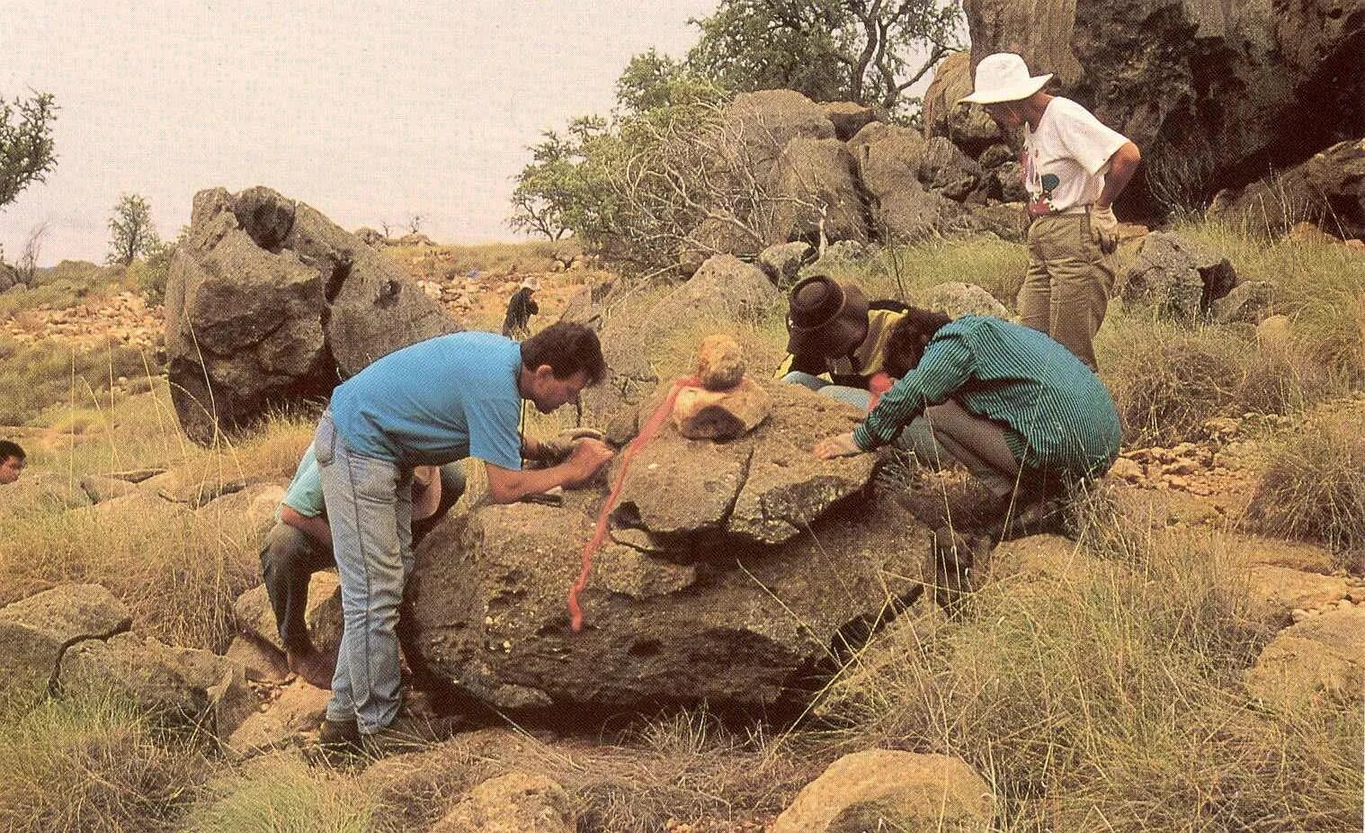 The research team an unusual fossil