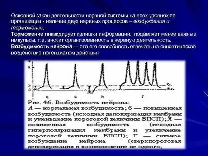 Закон активности