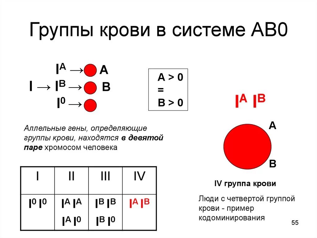 Группа крови это. Кодоминирование группы крови задачи. Формулы групп крови по системе АВО. Таблица группы крови по системе ав0. Группы крови человека по системе ав0.