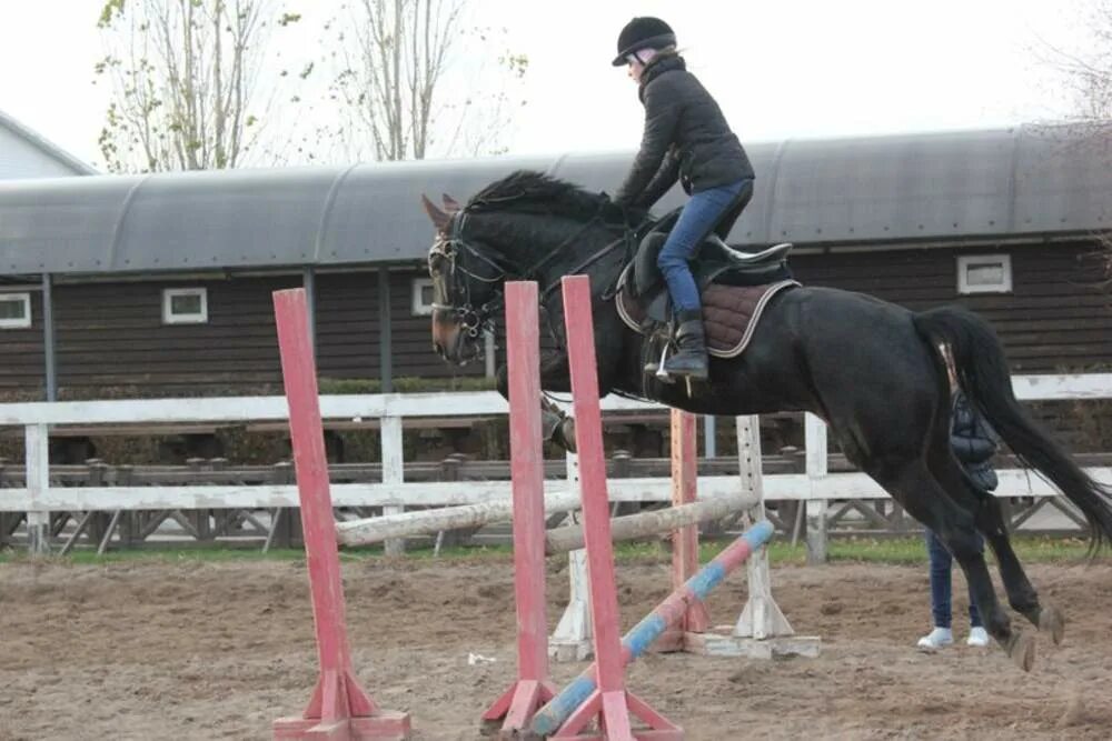 Конный клуб Марков и ко Оренбург. Фотосессия конно-спортивный клуб. Конно спортивный клуб Гармония. Кск гармония