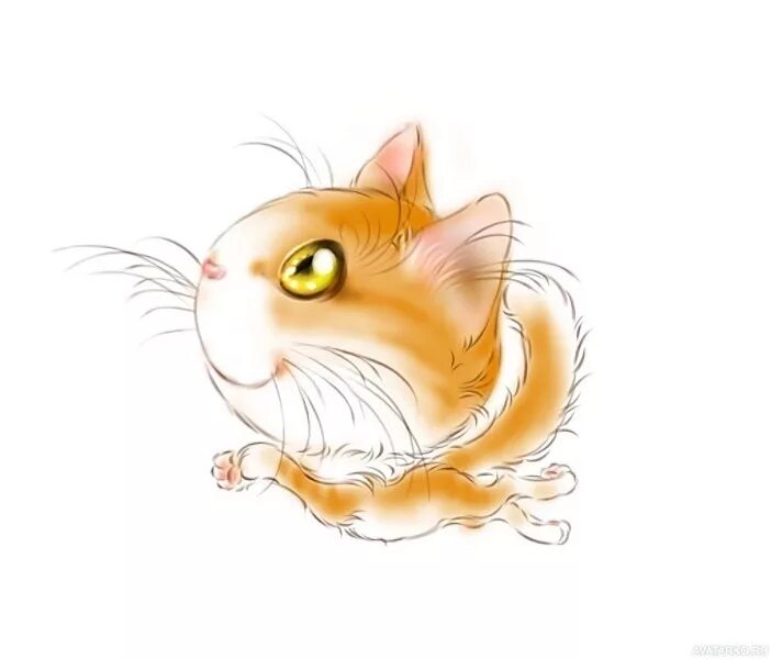 Нарисовать рыжего кота. Художница кротова светлана коты. Светлана емельянова художник. Кошка спит акварель. Красивый рыжий кот.