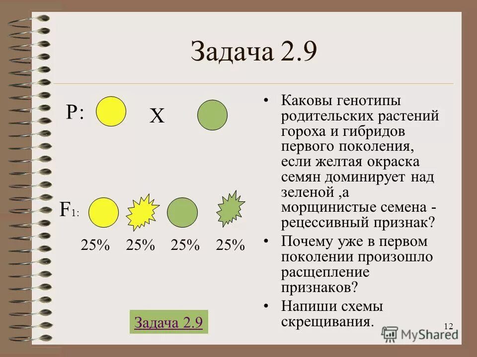 моногибридное скрещивание гороха. второй закон менделя схема расщепления. дает расщепление признаков у потомства. гибриды первого поколения скрещиваются. второй закон менделя генетика.