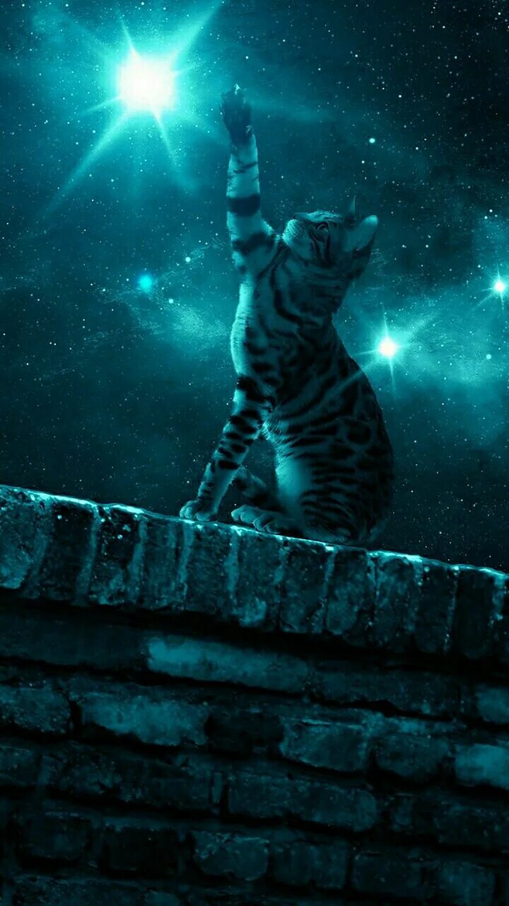 Магнитный пазл 27x18см."Кошка, ночь, night cat" на холодильник - купить с достав
