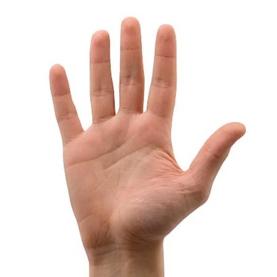 In the palm of your hand. In the palm of your hand. The hand он сильный?. Ладонь для фотошопа. Ладонный фасциальный фиброматоз.