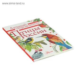 Лучший определитель