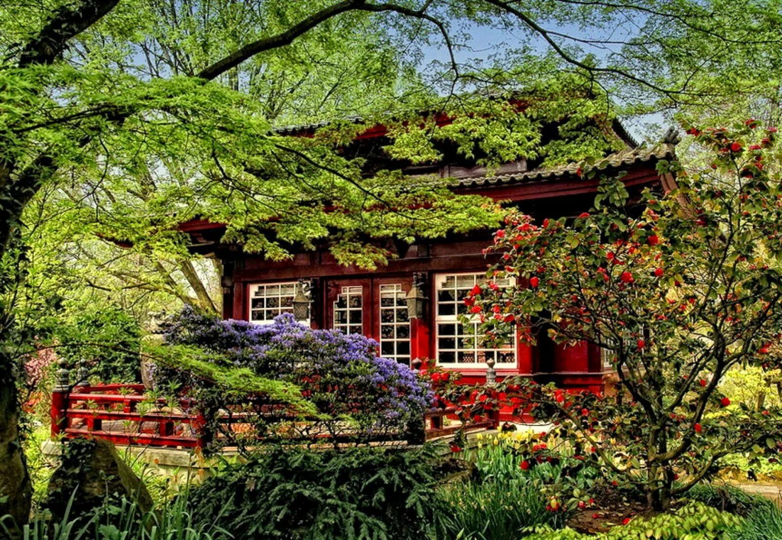Чайный домик в саду Кэнроку эн. Деревенский дом в Японии. Чайный домик «Цветущий сад». Дома около сад дедушки