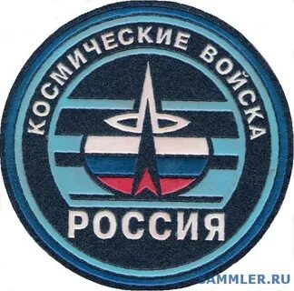 Воздушно космические силы эмблема
