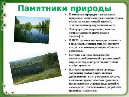 Проблемы памятников природы