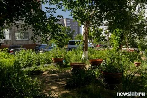 Двор советов