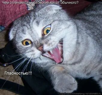Не подходи ко мне