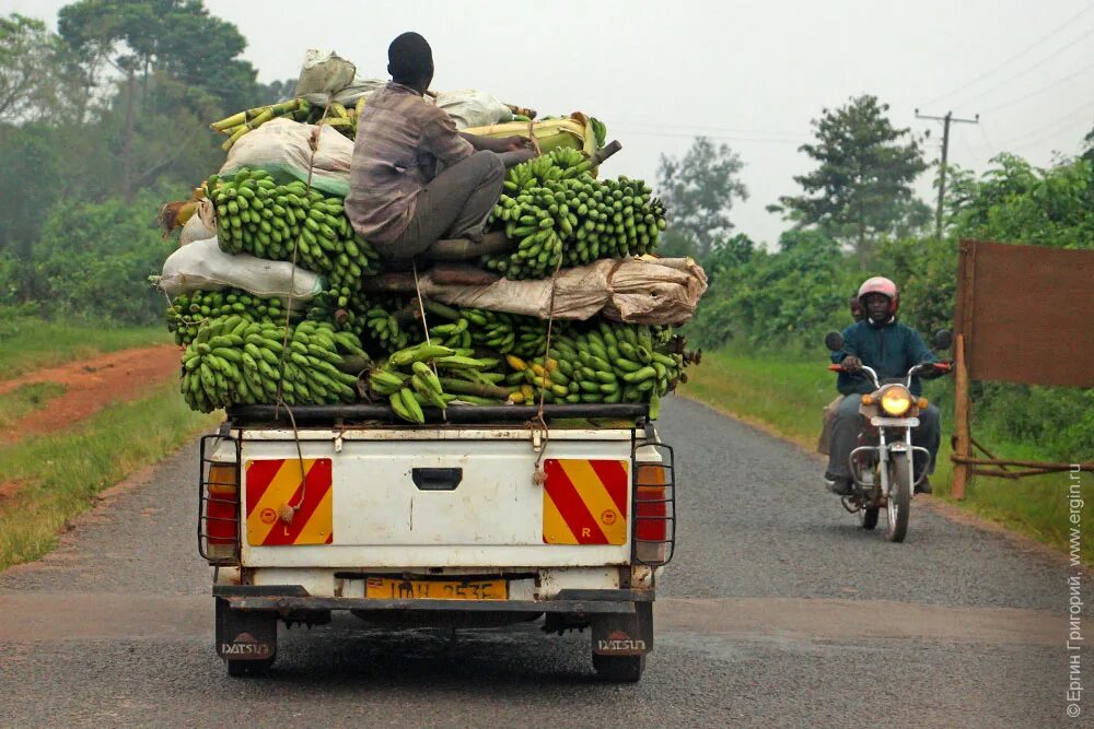 Откуда повезут бананы в россию. Уганда бананы. Бурунди сельское хозяйство. Грузовик с бананами. Велосипед банан.