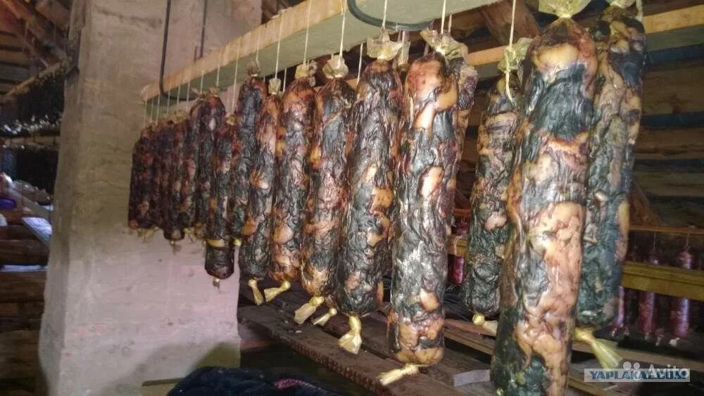 башкирская конская колбаса казылык. конская колбаса казы. казы спб. казы спб. гусь вяленый нарезанный.