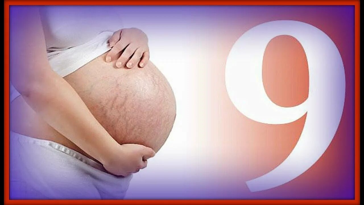 9 месяц беременности роды. 9 Месяц беременности. Плод на 9 месяце беременности. Живот на 9 месяце беременности.