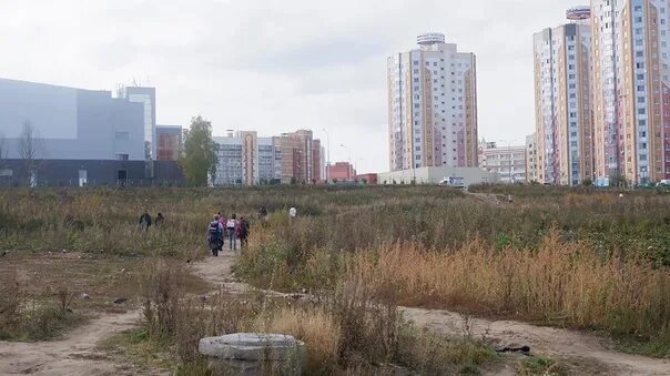 Зеленый томск
