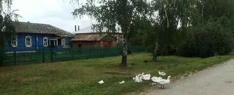 Новое батурино рыбновский