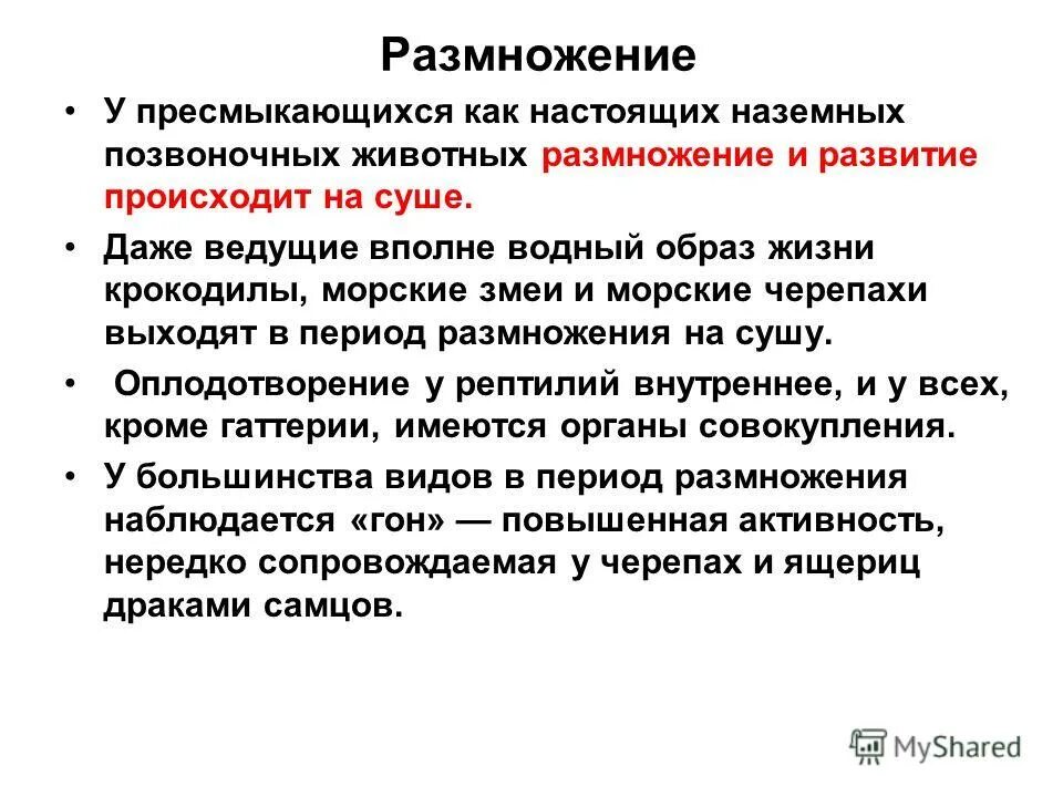 строение эмбриона пресмыкающихся. развитие рептилий происходит. земноводные и пресмыкающиеся. рептилии оплодотворение внутреннее или наружное. развитие рептилий происходит.