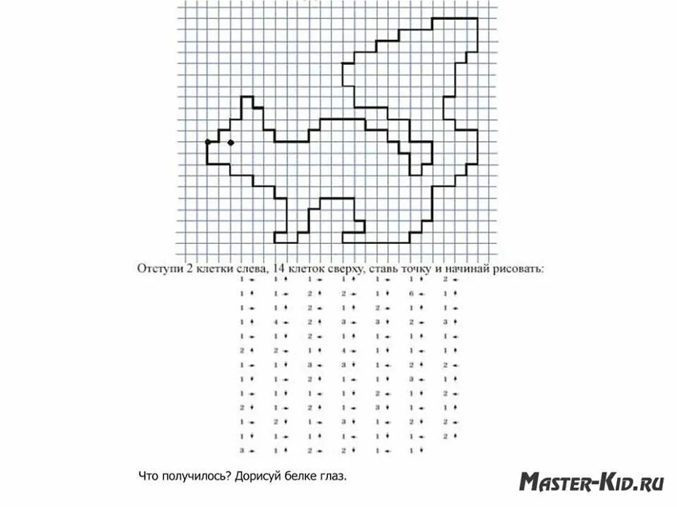 Графический диктант белка по клеточкам для дошкольников. Графический диктант белка сложный. Математический диктант по клеточкам для дошкольников белка. Рисование по клеточкаv.