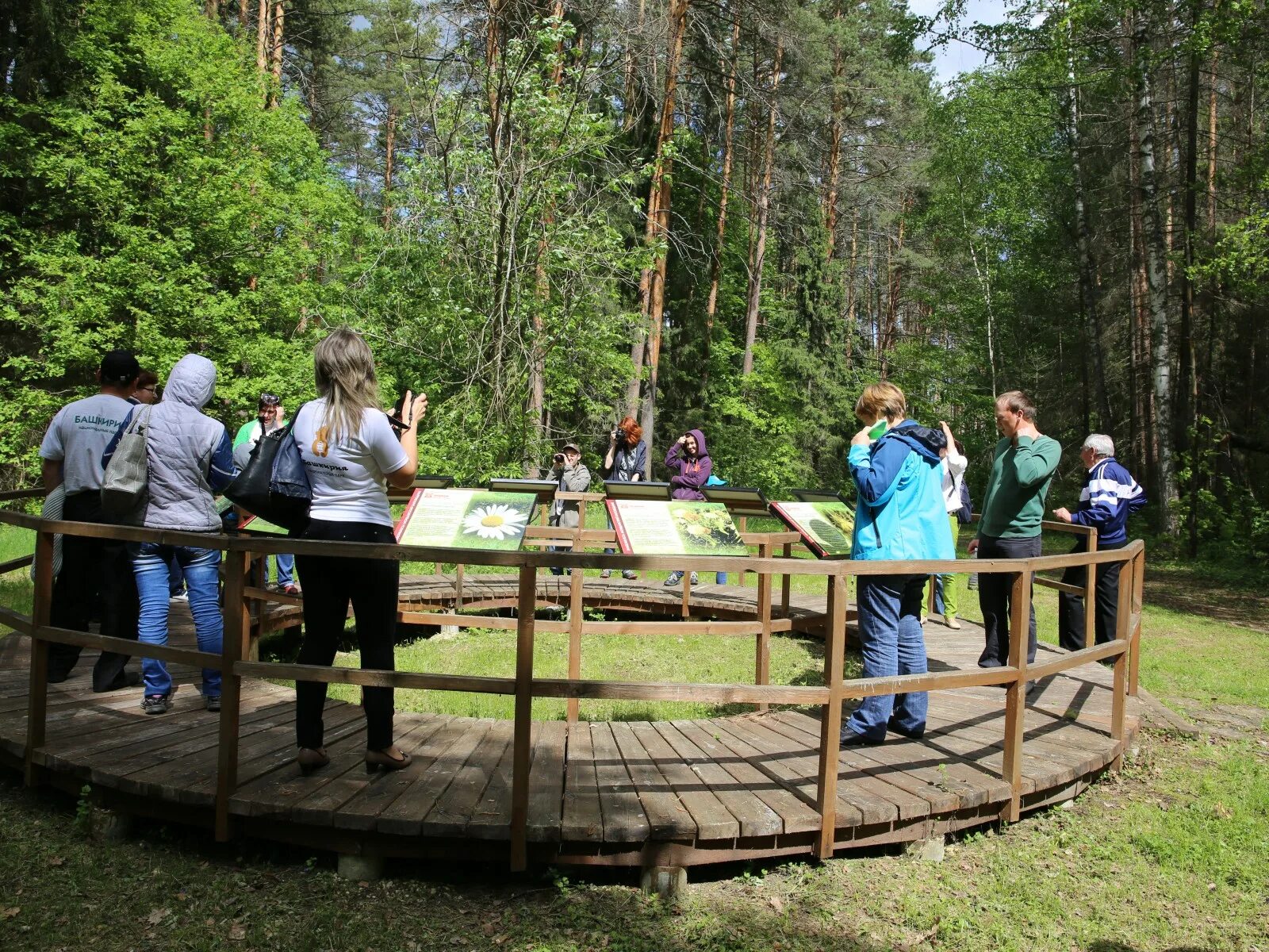 Мордовский заповедник Темников. Мордовский заповедник Смидовича. Заповедник Смольный Мордовия. Темниковский заповедник в Мордовии.