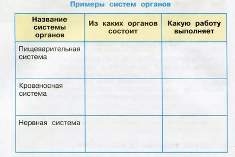 Заполните таблицу название органа система органов
