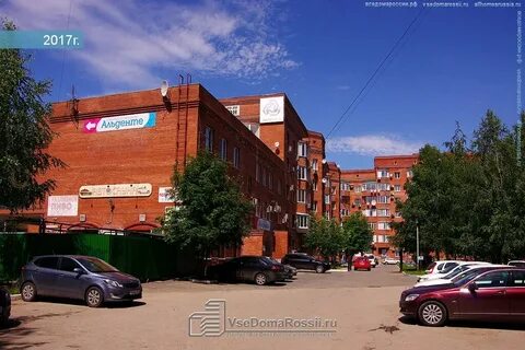 Галатея тольятти
