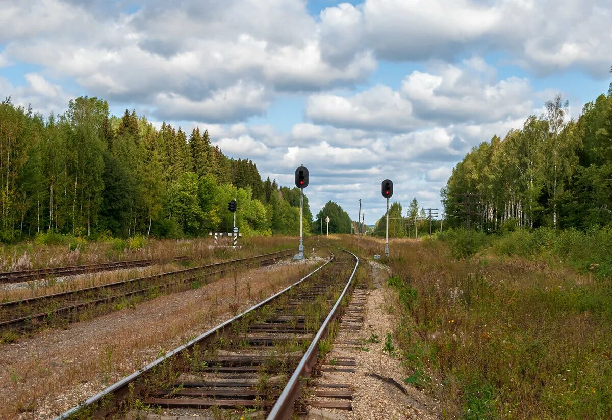 В яру сам. Яр (посёлок, удмуртия). В яру сам. Памятник под киевом бабий яр. Станция яр удмуртия.