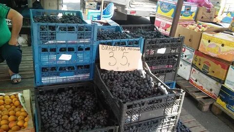 Кит владикавказ