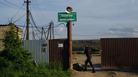 Погода царево