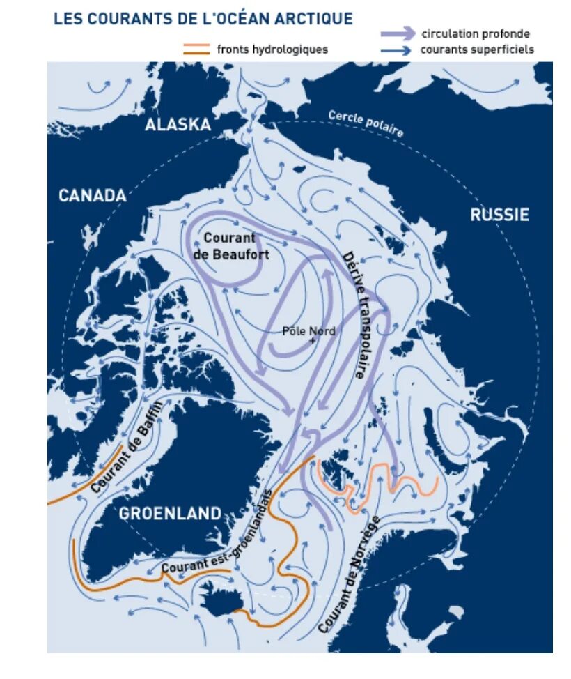 Течения Северного Ледовитого океана на карте. Карта морских течений Северного Ледовитого океана. Течения норвежского моря. Арктическое течение на карте.